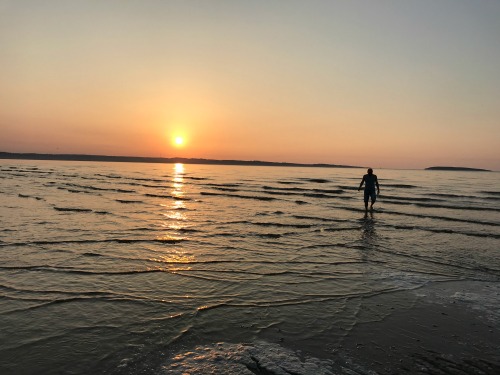 beach silhouette small